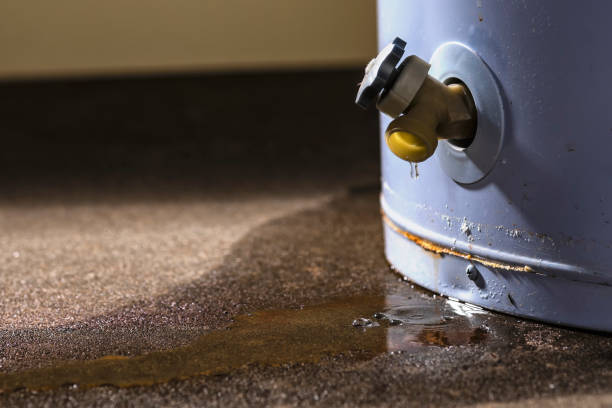  Santa Moni, CA Water damage restoration Pros