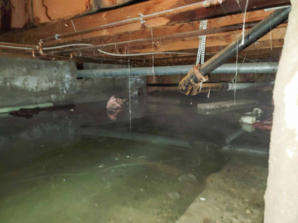 Best Commercial water damage restoration  in Santa Moni, CA