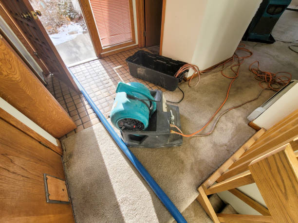 Best Basement water damage restoration  in Santa Moni, CA