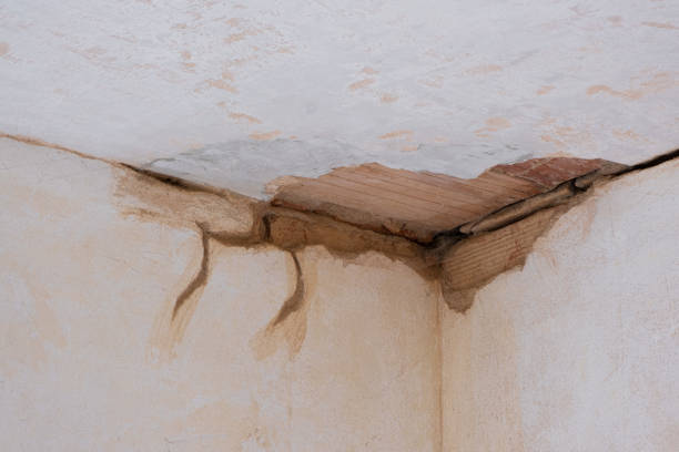 24/7 water damage repair in Santa Monica, CA