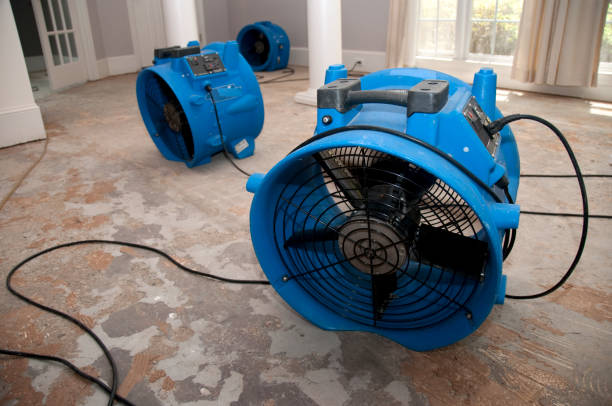 Best Emergency water damage restoration  in Santa Moni, CA