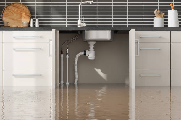 Best Ceiling water damage repair  in Santa Moni, CA